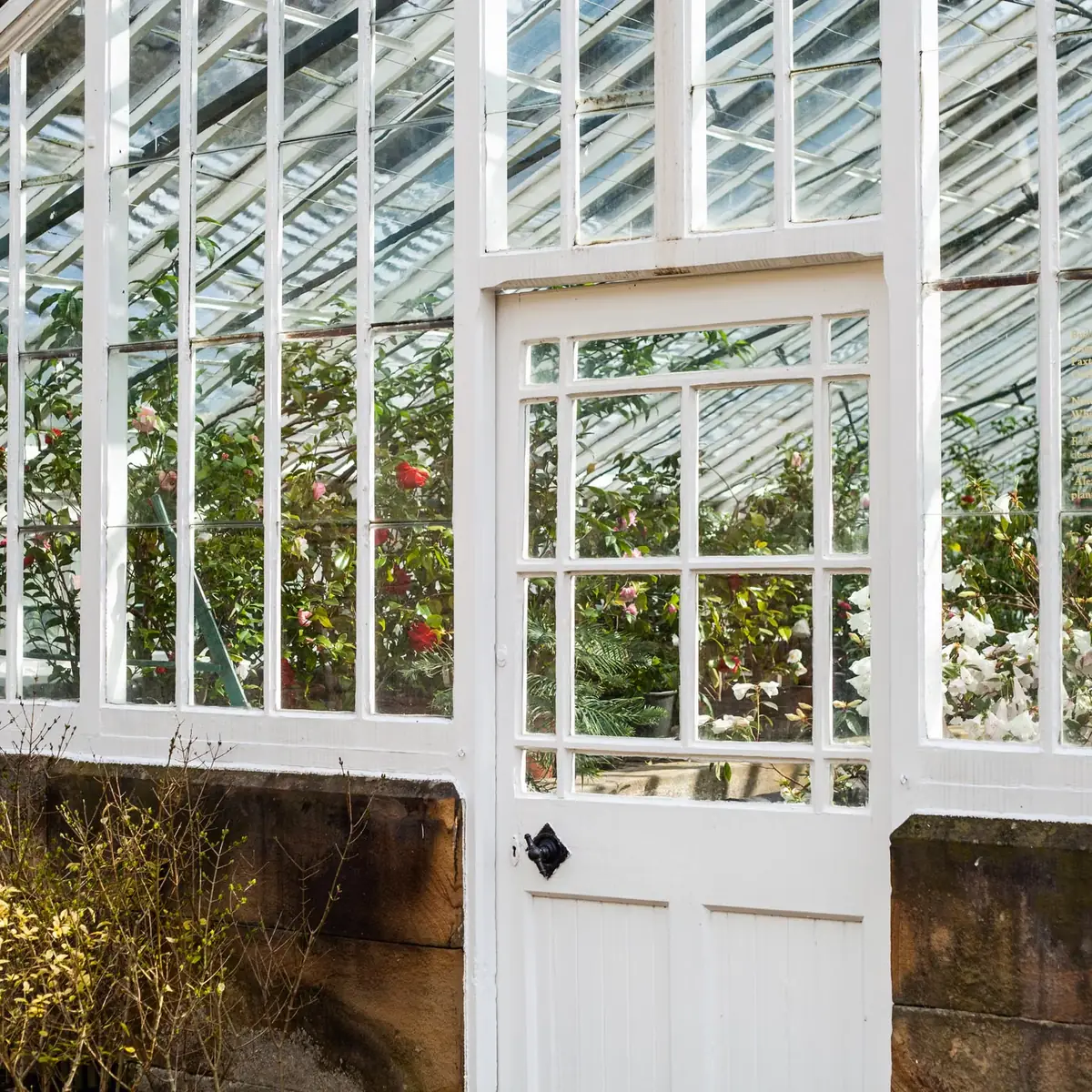White glasshouse door