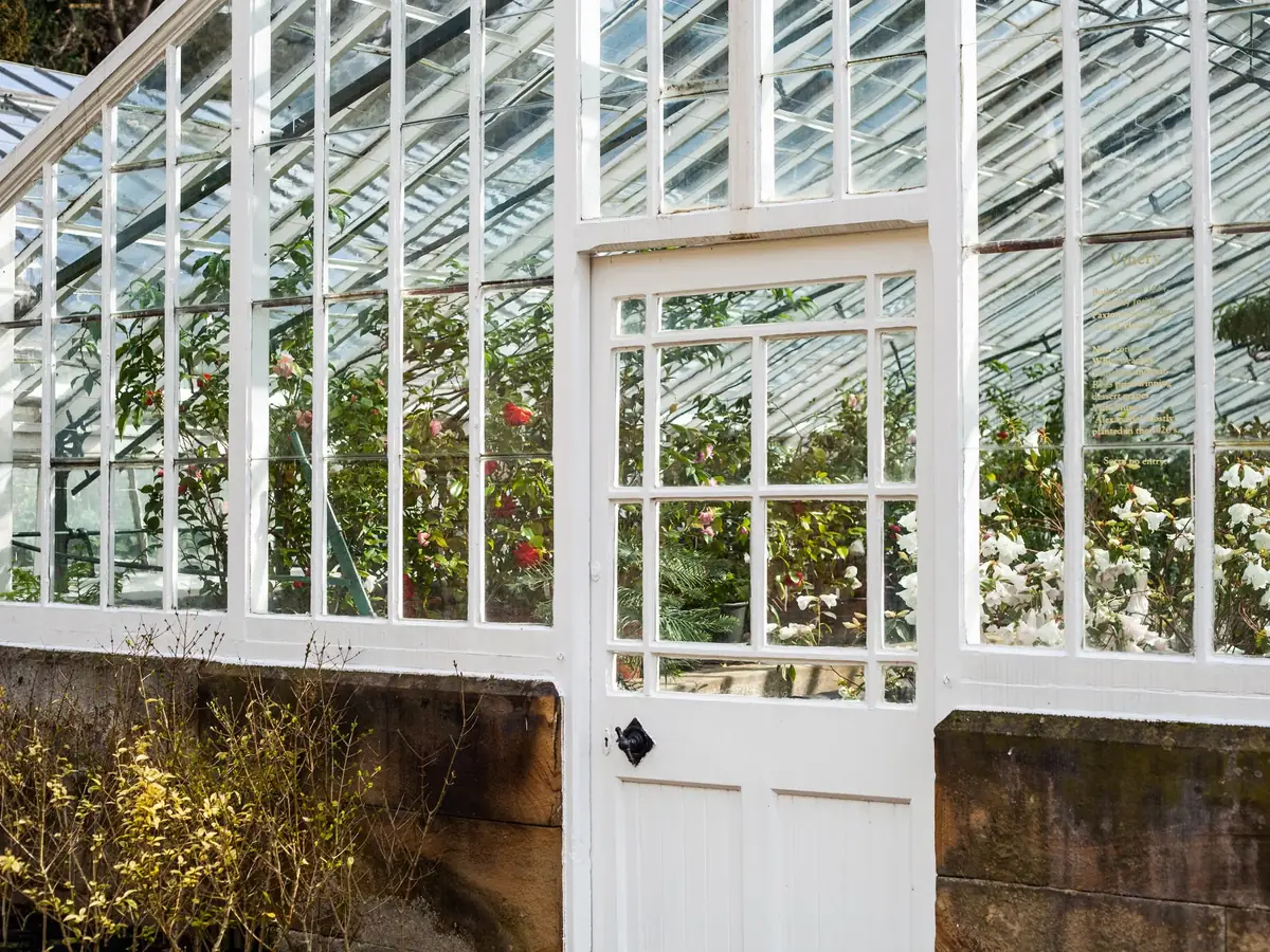 White-framed glasshouse door with plants inside