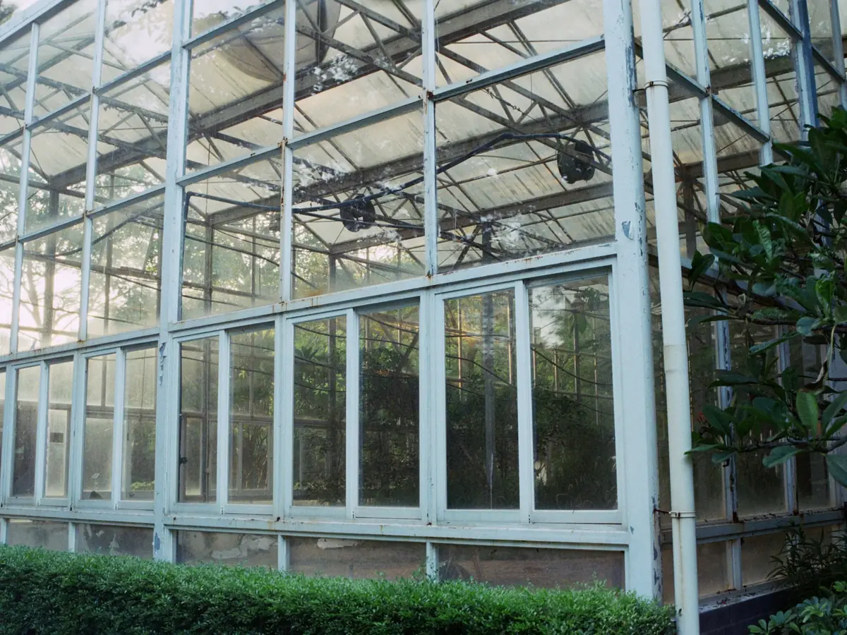 Exterior of a glass conservatory with a pitched roof