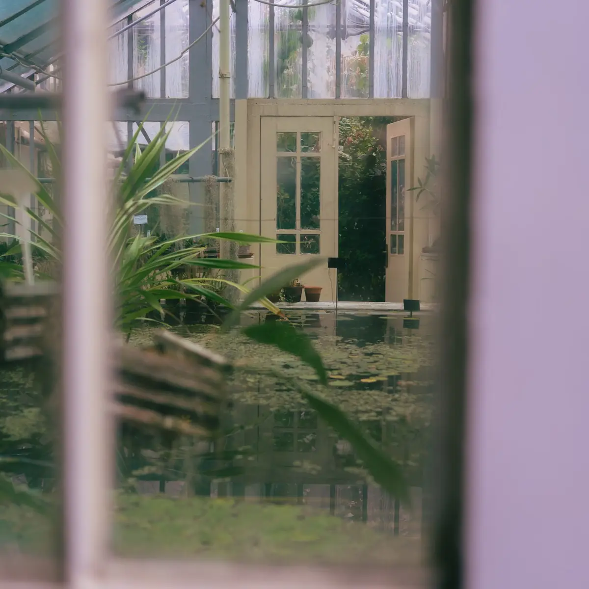 Inside a glazed conservatory