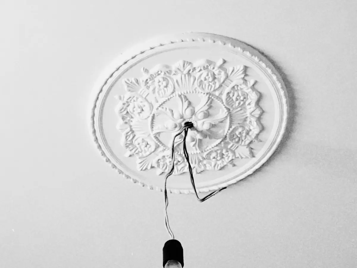 Simple plaster ceiling rose with a bare pendant bulb