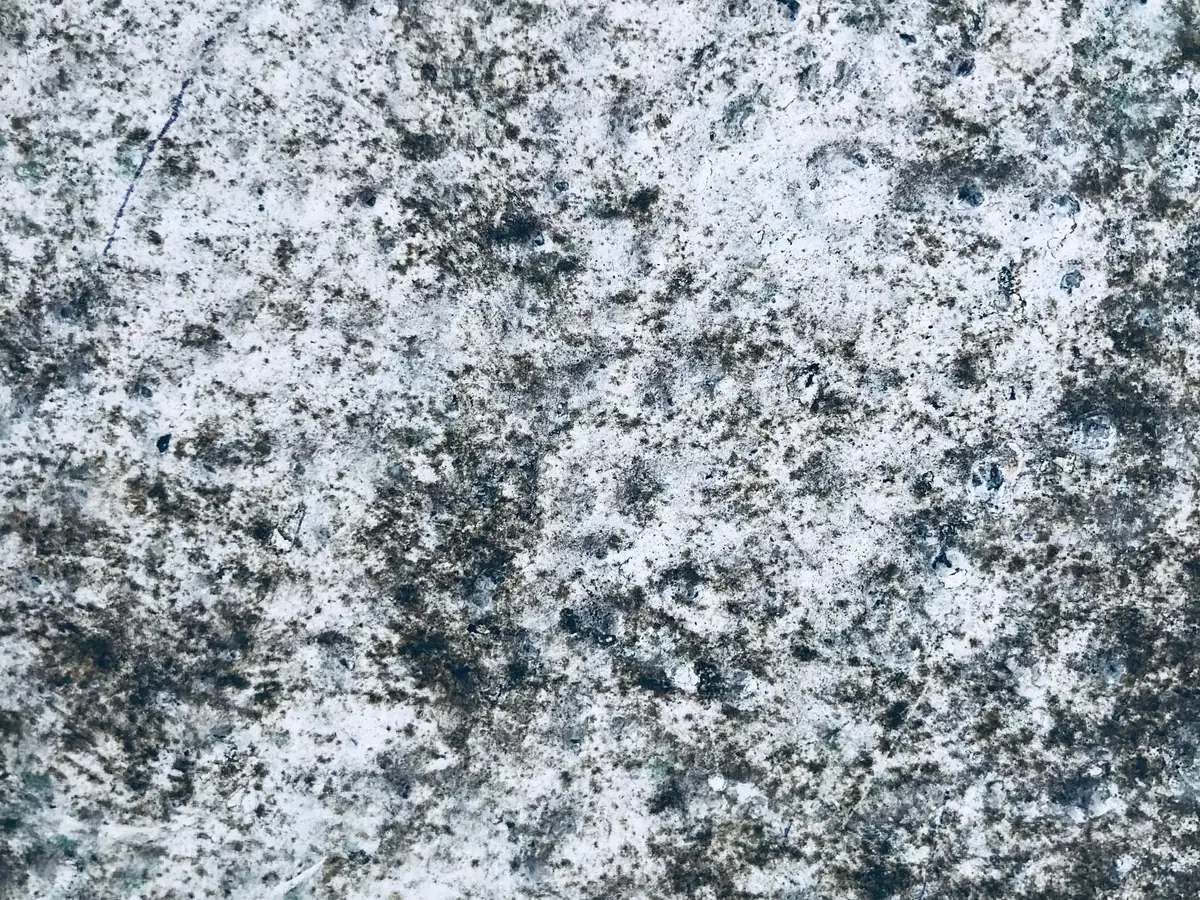 Rough wall surface with dark spots of mould growth