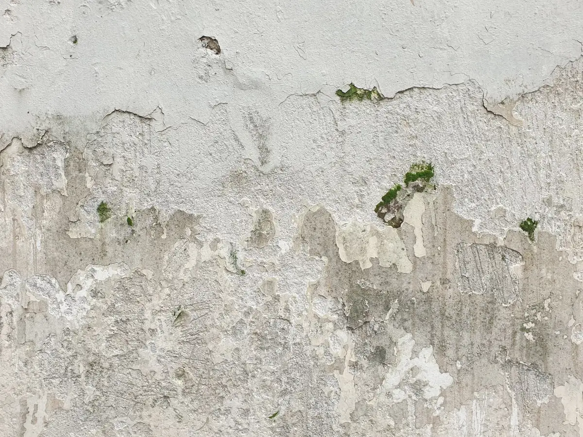 Old wall with paint and plaster peeling away from damp