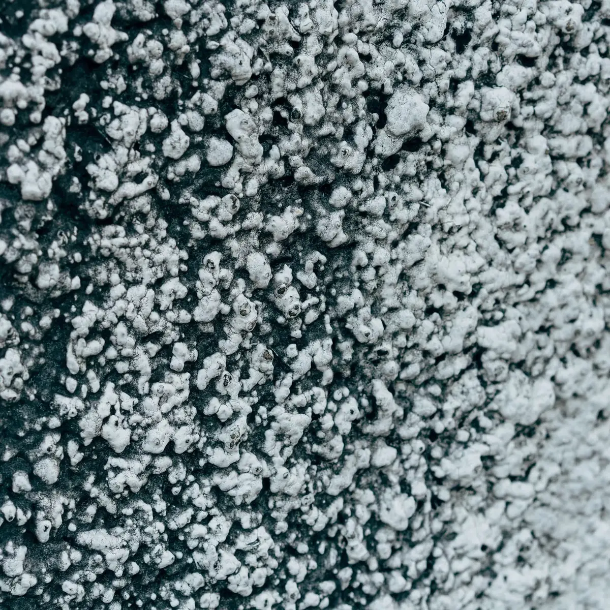 Coarse pebbledash texture close up