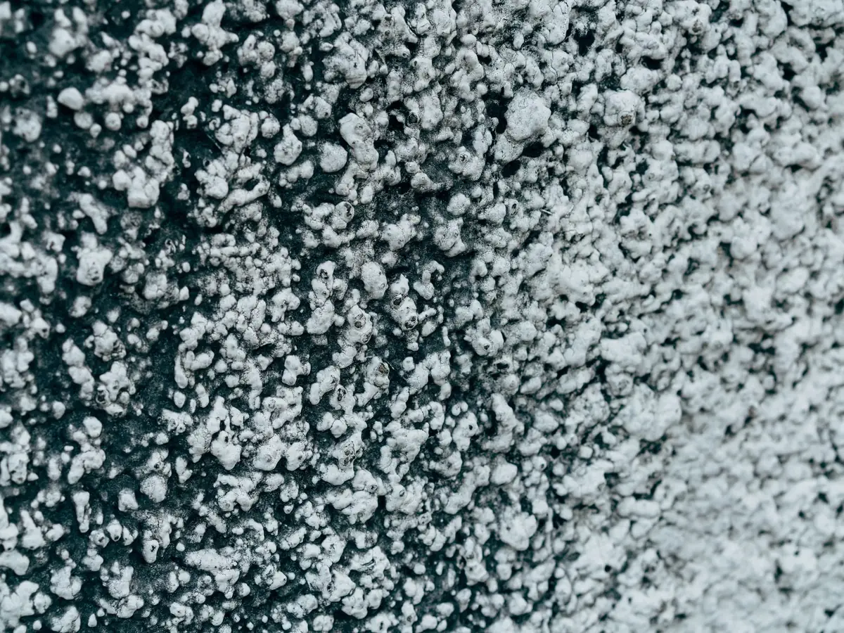 Coarse grey pebbledash surface with embedded stones