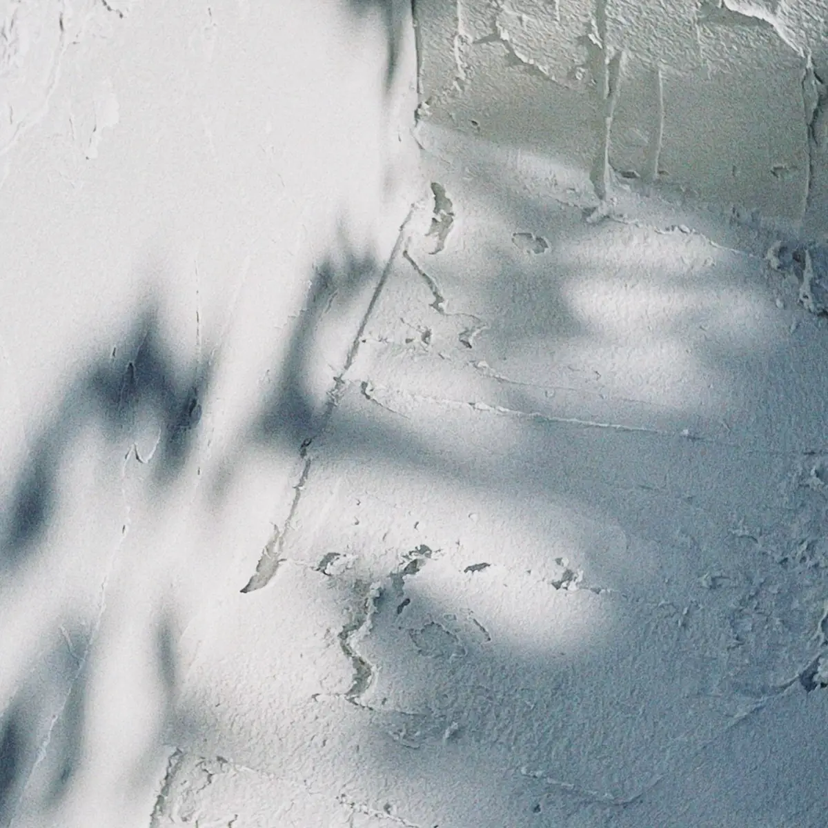 Pale polished plaster catching light and shadow