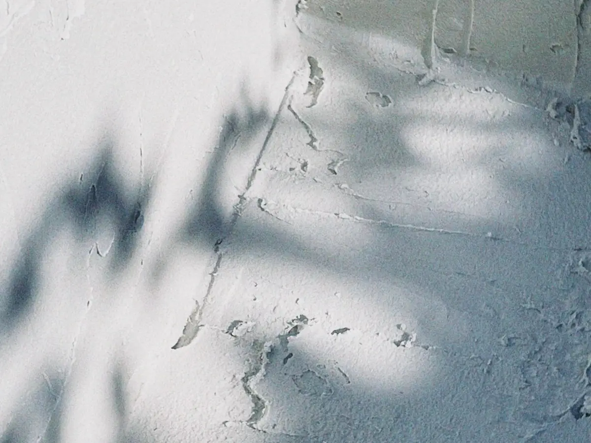 Pale polished plaster wall catching soft shadow and light